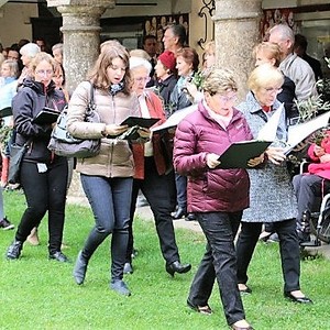 Palmprozession 2017 / Foto: Christa Wiener-Pucher